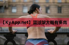 篮球架大概有多高
