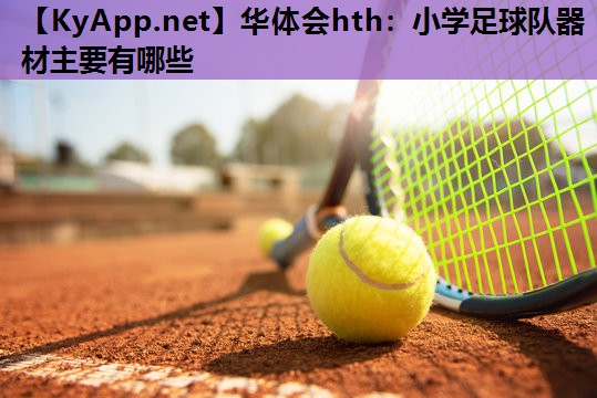 小学足球队器材主要有哪些 小学足球队器材主要有哪些