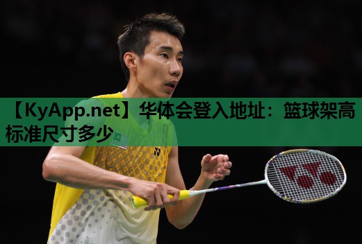 篮球架高标准尺寸多少 篮球架高标准尺寸多少
