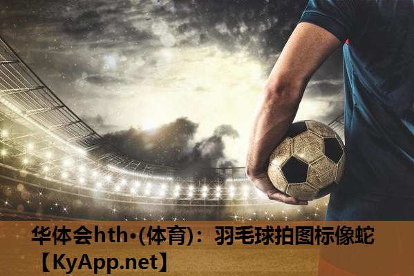 羽毛球拍图标像蛇 羽毛球拍图标像蛇
